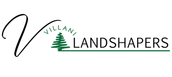 VillaniLS Biller Logo